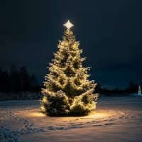 Merry Christmas!